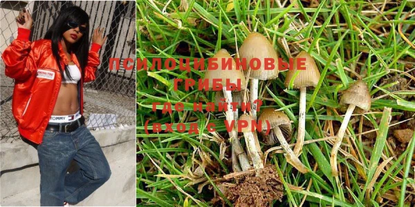 ешки Бугульма