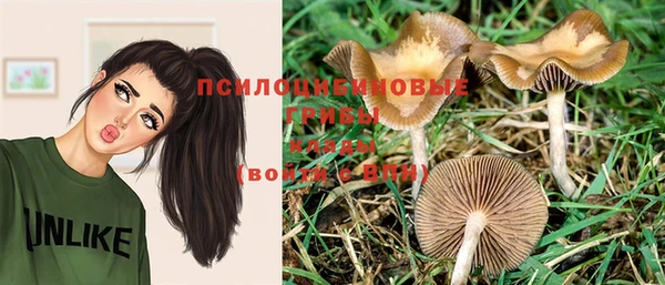 наркотики Бородино