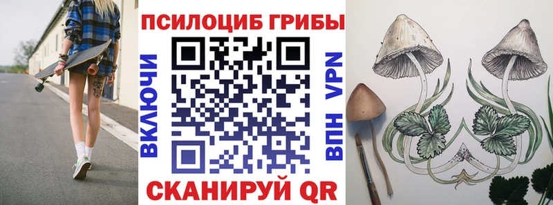 что такое наркотик  Чебоксары  Псилоцибиновые грибы Cubensis 